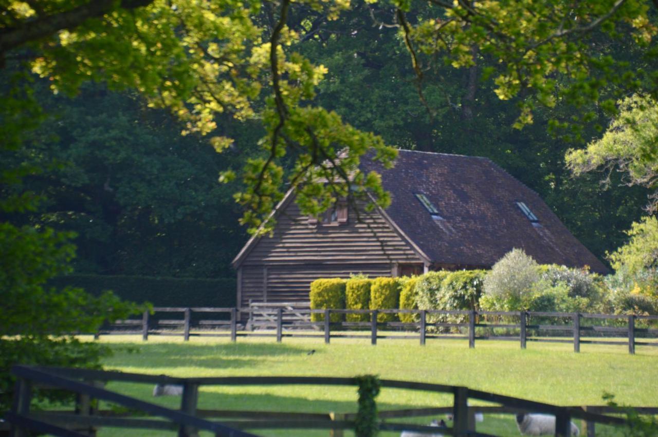 Ferienwohnung The Hideaway-South Downs National Park Graffham Exterior foto