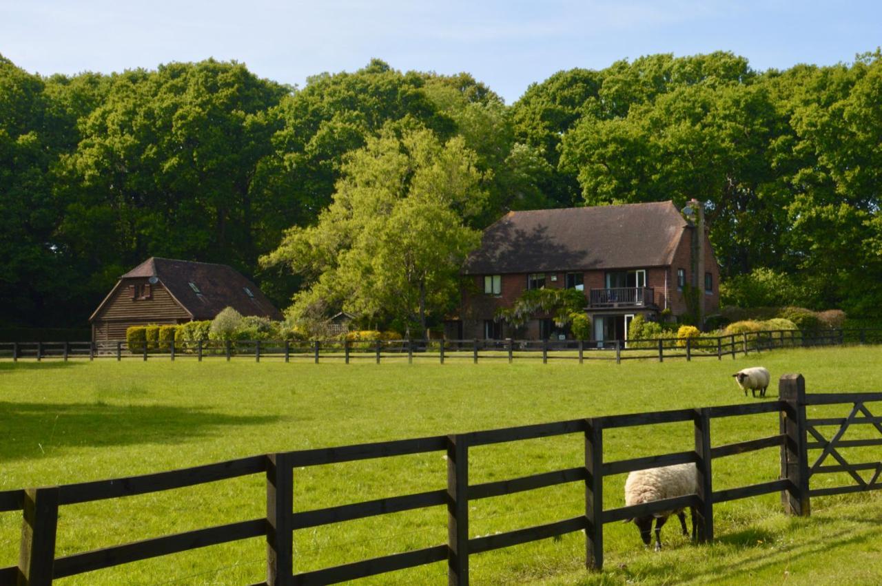Ferienwohnung The Hideaway-South Downs National Park Graffham Exterior foto